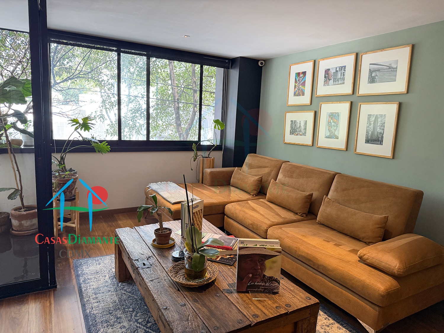 Roma Norte Departamento Orquídea - Estancia 9 Roma Norte Departamento Orquídea - Estancia 9